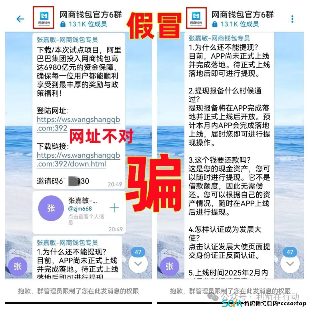 碰瓷马云的“网商钱包”APP骗钱