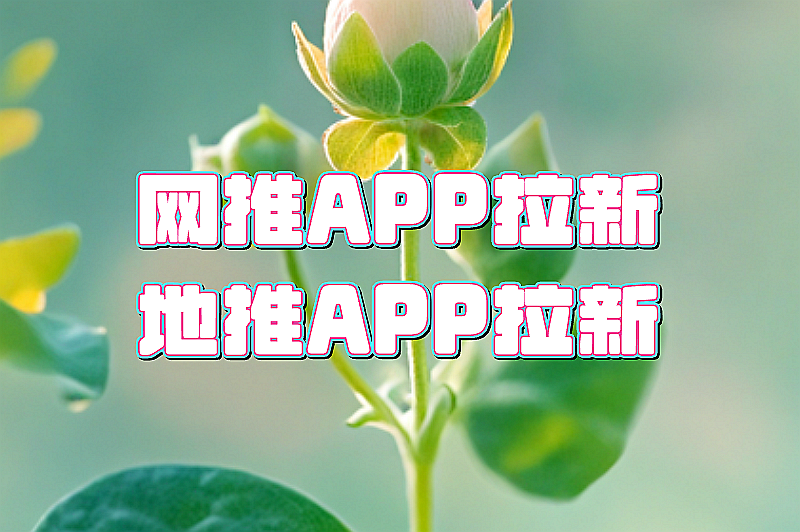 网推APP拉新地推APP拉新